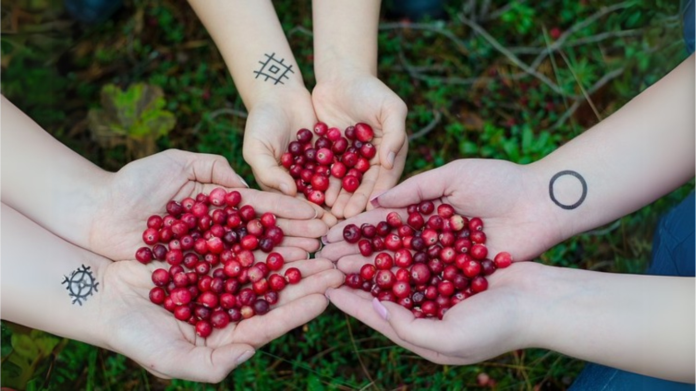 Cranberry Benefits